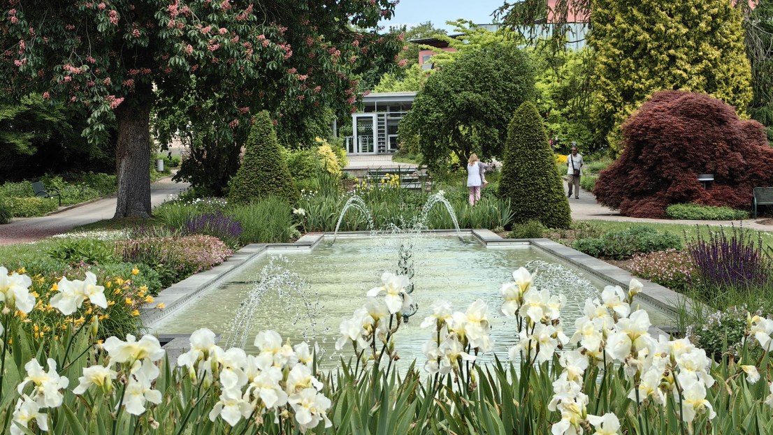 Das Bild zeigt blühende Blumen und einen Brunnen im Kurpark - mit Sicht auf die LVA