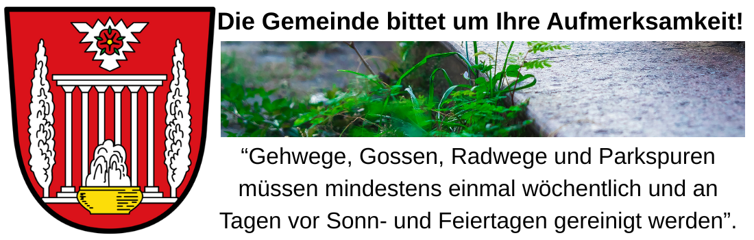 Infos zur Gossenrenigung 