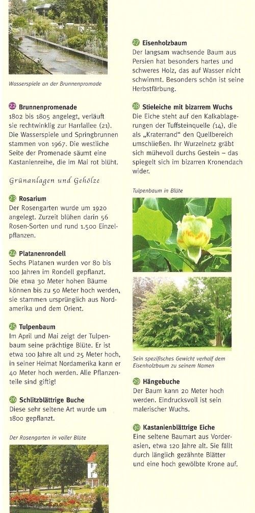 Grosser Flyer Bad Eilsen Kurpark Seite 8